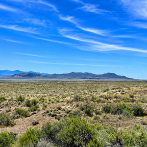 Uncover the allure of peace and opportunity in the captivating landscape of Fallon, Nevada!  Nestled in the heart of the desert, this incredible property is a true hidden gem—an ideal paradise for gold mining enthusiasts! Presenting a stunning 640-acre ranch in Fallon, Churchill County Zoned for Residential, Cattle and Agriculture- Right next to Carson River! APN: 003-731-19