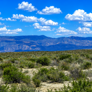 Uncover the allure of peace and opportunity in the captivating landscape of Fallon, Nevada!  Nestled in the heart of the desert, this incredible property is a true hidden gem—an ideal paradise for gold mining enthusiasts! Presenting a stunning 640-acre ranch in Fallon, Churchill County Zoned for Residential, Cattle and Agriculture- Right next to Carson River! APN: 003-731-19