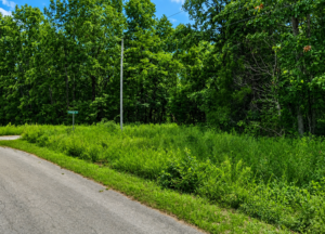 Discover an enticing Arkansas & Walk to the lake! 1 Acre residential lot nestled near the serene shores of Lake Omaha, perfectly primed for constructing your dream home or placing a charming mobile home. Cherokee Village- Utilities at the property and road frontage: APN: 235-14976-000