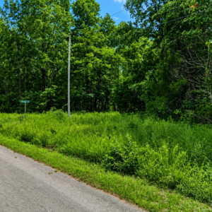 Discover an enticing Arkansas Residential Lot  & Walk to the Lake Thunderbird -A residential lot nestled near the serene shores of Lake Omaha, perfectly primed for constructing your dream home or placing a charming mobile home. Cherokee Village- Utilities at the property and road frontage: APN: 335-18623-000
