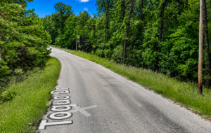 1 Acre Lot -Walk to the golf course!  Arkansas Property residential lot nestled near the serene shores of Lake Omaha, perfectly primed for constructing your dream home or placing a charming mobile home. Cherokee Village- Utilities at the property and road frontage: APN: 200-13838-000