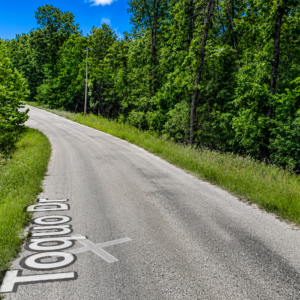 1 Acre Lot -Walk to the golf course!  Arkansas Property residential lot nestled near the serene shores of Lake Omaha, perfectly primed for constructing your dream home or placing a charming mobile home. Cherokee Village- Utilities at the property and road frontage: APN: 200-13838-000