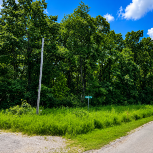 1 Acre Lot -Walk to the golf course!  Arkansas Property residential lot nestled near the serene shores of Lake Omaha, perfectly primed for constructing your dream home or placing a charming mobile home. Cherokee Village- Utilities at the property and road frontage: APN: 200-13838-000
