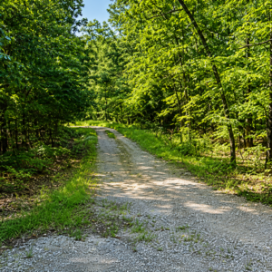 1 Acre-Arkansas -Property Highlights • Vacant lot near Lake Chanute • Approximately 15 minutes from Hardy, Arkansas * Power, Water & Road Frontage- APN:200-13838-000