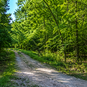 1 Acre-Arkansas -Property Highlights • Vacant lot near Lake Chanute • Approximately 15 minutes from Hardy, Arkansas * Power, Water & Road Frontage- APN:200-13838-000