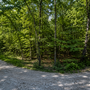 1 Acre-Arkansas -Property Highlights • Vacant lot near Lake Chanute • Approximately 15 minutes from Hardy, Arkansas * Power, Water & Road Frontage- APN:200-13838-000