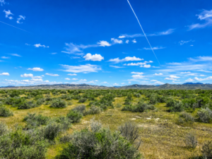 Looking for Freedom Living? Discover the wide-open spaces you've been dreaming of with this 14-acre property in beautiful Eureka, Nevada. Enjoy easy road access, breathtaking mountain and valley views, and the peace and privacy that only rural Nevada can offer. APN: 005-300-01