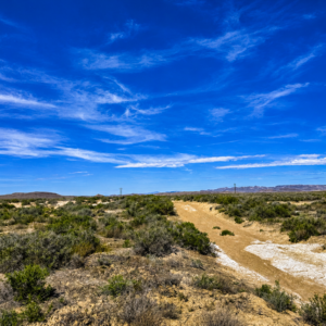 Looking for Freedom Living? Discover the wide-open spaces you've been dreaming of with this 14-acre property in beautiful Eureka, Nevada. Enjoy easy road access, breathtaking mountain and valley views, and the peace and privacy that only rural Nevada can offer. APN: 005-300-01