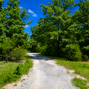 Arkansas Property 3/4 acre residential lot nestled near Hwy 289 and the serene shores of Lake Omaha, perfectly primed for constructing your dream home or placing a charming mobile home. Cherokee Village- Utilities at the property and road frontage: APN: 205-13946-000