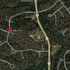 Arkansas Property 3/4 acre residential lot nestled near Hwy 289 and the serene shores of Lake Omaha, perfectly primed for constructing your dream home or placing a charming mobile home. Cherokee Village- Utilities at the property and road frontage: APN: 205-13946-000