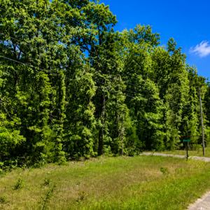 Arkansas Property 3/4 acre residential lot nestled near Hwy 289 and the serene shores of Lake Omaha, perfectly primed for constructing your dream home or placing a charming mobile home. Cherokee Village- Utilities at the property and road frontage: APN: 205-13946-000