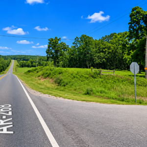 Corner Arkansas Property 1/4 acre-Discover an exceptional corner quarter-acre homesite moments hwy 89! Utilities at the property! APN: 405-21598-000