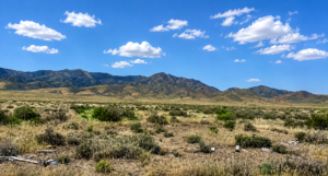 Discover wide-open Nevada living on this 124-acre high-desert ranch in Antelope Valley, Pershing County. The property is made up of three 40.57-acre parcels, with two parcels adjoining and a third positioned side-adjacent, offering a versatile layout for ranching, recreation, privacy, or future planning. APN : 015-300-11 and 015-300-10 / 015-300-13(3 parcels)