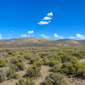 Own your own piece of the American West! This incredible 210-acre property, comprised of a 160-acre parcel and an adjoining 50-acre parcel (APN 009-370-03), offers a rare opportunity to own a massive stretch of Northern Nevada surrounded by thousands of acres of Bureau of Land Management (BLM) land. If you've been searching for privacy, breathtaking scenery, abundant wildlife, and limitless possibilities, this is the property you've been waiting for. APN 009-370-02