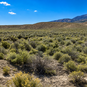 Own your own piece of the American West! This incredible 210-acre property, comprised of a 160-acre parcel and an adjoining 50-acre parcel (APN 009-370-03), offers a rare opportunity to own a massive stretch of Northern Nevada surrounded by thousands of acres of Bureau of Land Management (BLM) land. If you've been searching for privacy, breathtaking scenery, abundant wildlife, and limitless possibilities, this is the property you've been waiting for. APN 009-370-02