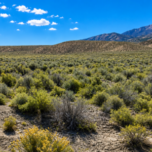 Own your own piece of the American West! This incredible 210-acre property, comprised of a 160-acre parcel and an adjoining 50-acre parcel (APN 009-370-03), offers a rare opportunity to own a massive stretch of Northern Nevada surrounded by thousands of acres of Bureau of Land Management (BLM) land. If you've been searching for privacy, breathtaking scenery, abundant wildlife, and limitless possibilities, this is the property you've been waiting for. APN 009-370-02