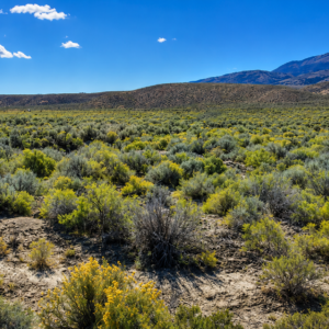 Own your own piece of the American West! This incredible 210-acre property, comprised of a 160-acre parcel and an adjoining 50-acre parcel (APN 009-370-03), offers a rare opportunity to own a massive stretch of Northern Nevada surrounded by thousands of acres of Bureau of Land Management (BLM) land. If you've been searching for privacy, breathtaking scenery, abundant wildlife, and limitless possibilities, this is the property you've been waiting for. APN 009-370-02