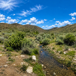 Own your own piece of the American West! This incredible 210-acre property, comprised of a 160-acre parcel and an adjoining 50-acre parcel (APN 009-370-03), offers a rare opportunity to own a massive stretch of Northern Nevada surrounded by thousands of acres of Bureau of Land Management (BLM) land. If you've been searching for privacy, breathtaking scenery, abundant wildlife, and limitless possibilities, this is the property you've been waiting for. APN 009-370-02