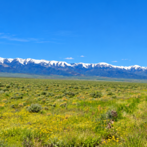 Discover nearly 39.96 acres of wide-open Nevada freedom in beautiful Antelope Valley. This 39.96-acre parcel in Pershing County offers the combination buyers look for most: surveyed acreage, excellent access, privacy, and sweeping mountain and valley views in every direction.  APN 015-220-13