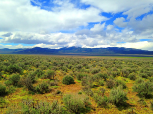 Welcome to Fallon Nevada (Churchill County) & 80 Acres surrounded by BLM Land! Amazing road access and your next home in Nevada! APN: 009-371-70