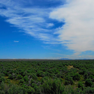 40 Acre Private Ranch Community! Elko Nevada-Off of Hwy 80-Power is Close-Incredible View with Easement Access APN : 007-11D-003