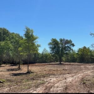 Discover a fantastic opportunity with this 1.3- surveyed acre residential property located in the charming town of Luverne, Alabama. This spacious lot comes equipped with essential utilities, including power and water, ensuring a hassle-free setup for your future home. With convenient road access, you’ll enjoy easy transportation and accessibility. Whether you envision a cozy mobile home or a custom-built residence, this move-in-ready property is the perfect canvas for your dream home!