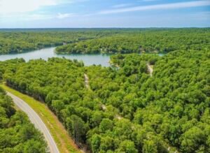 1 Acre Lot Property Highlights • Vacant lot near Lake Chanute • Approximately 15 minutes from Hardy, Arkansas * Power, Water & Road Frontage- APN: 200-13718-000