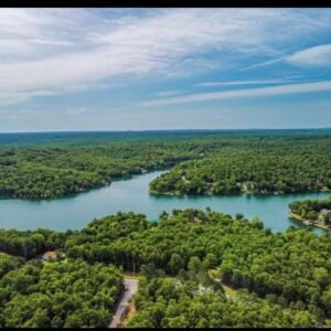 3/4 Corner Acre Property in Lake Chanute • Arkansas * Power, Water & Road Frontage- APN:  130-11308-000