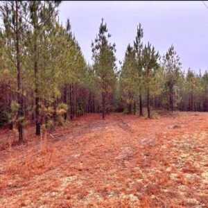 Discover a fantastic opportunity with this 1.3- surveyed acre residential property located in the charming town of Luverne, Alabama. This spacious lot comes equipped with essential utilities, including power and water, ensuring a hassle-free setup for your future home. With convenient road access, you’ll enjoy easy transportation and accessibility. Whether you envision a cozy mobile home or a custom-built residence, this move-in-ready property is the perfect canvas for your dream home!