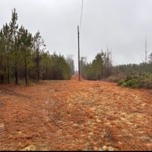 Discover a fantastic opportunity with this 1.3- surveyed acre residential property located in the charming town of Luverne, Alabama. This spacious lot comes equipped with essential utilities, including power and water, ensuring a hassle-free setup for your future home. With convenient road access, you’ll enjoy easy transportation and accessibility. Whether you envision a cozy mobile home or a custom-built residence, this move-in-ready property is the perfect canvas for your dream home!