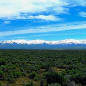 40 Acre Private Ranch Community! Elko Nevada-Off of Hwy 80-Power is Close-Incredible View with Easement Access APN : 007-11D-003