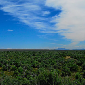 40 Acre Private Ranch Community! Elko Nevada-Off of Hwy 80-Power is Close-Incredible View with Easement Access APN : 007-11D-003