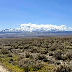Embrace the tranquility of 40.32 acres in LOVELOCK NEVADA- Buena Vista Valley of untamed beauty in Pershing County, Nevada—a true escape from the chaos of daily life. APN: 015-290-08