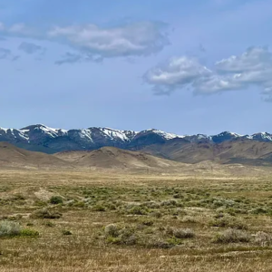 Embrace the tranquility of 40.32 acres in LOVELOCK NEVADA- Buena Vista Valley of untamed beauty in Pershing County, Nevada—a true escape from the chaos of daily life. APN: 015-290-08