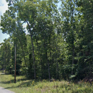 Double Lot at Lake Tansi Village, Crossville, Tennessee – 1/2 Acre Total, Build Your Next Home (Cumberland County)