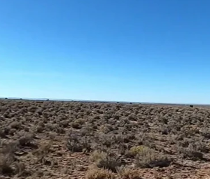 40 Acres in Apache County, AZ – Great Investment, Direct Road Frontage, Seamless Access