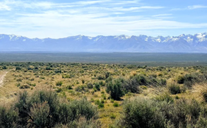 1.03 Acre Ranch Lot in Spring Creek, Elko, Nevada – Road Frontage, Spectacular Views, Power