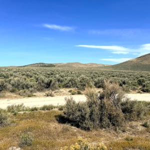 1.03 Acre Ranch Lot in Spring Creek, Elko, Nevada – Road Frontage, Spectacular Views, Power