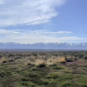 1.13 Acre Ranch Lot in Spring Creek, Elko, Nevada – Road Frontage, Spectacular Views, Power