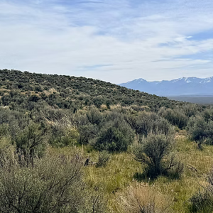 1.13 Acre Ranch Lot in Spring Creek, Elko, Nevada – Road Frontage, Spectacular Views, Power