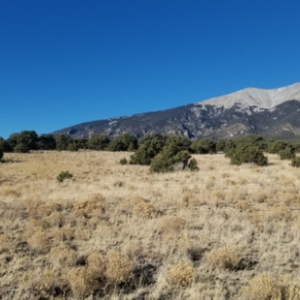 5.54 Acre Ranch in Alamosa County, Colorado – Bring Your RV, Amazing Views, Road Frontage, Power