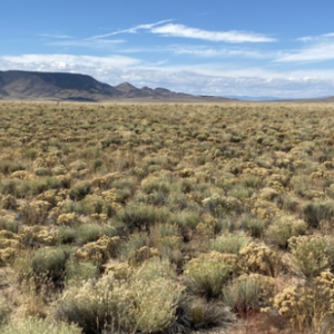 5.54 Acre Ranch in Alamosa County, Colorado – Bring Your RV, Amazing Views, Road Frontage, Power
