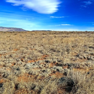 5.54 Acre Ranch in Alamosa County, Colorado – Bring Your RV, Amazing Views, Road Frontage, Power