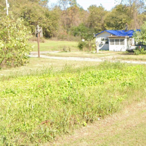 1/4 Acre Arkansas Residential Property – Helena-West Helena, AR (Phillips County) — Power, Water, Sewer & Road Frontage