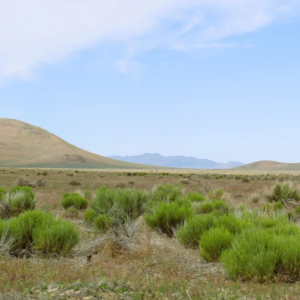 20 Acre Ranch Property in Elko, Nevada – Gold Mining Gem, Road Access, Amazing Views, Power