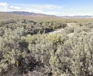 210 Acres in Pershing County, NV – Summit Spring / Buffalo Mountain, Surrounded by BLM, Road Access, Yearly Ponds and Creek