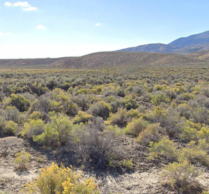 210 Acres in Pershing County, NV – Summit Spring / Buffalo Mountain, Surrounded by BLM, Road Access, Yearly Ponds and Creek