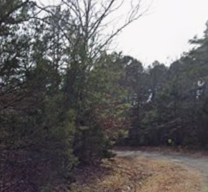 Greers Ferry Lake Lot – Van Buren County, Arkansas — Walk to Lake, Power at the Property, Road Frontage