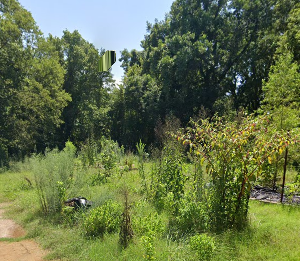 Arkansas Residential Property – Helena-West Helena, AR (Phillips County) — Power, Water, Sewer & Road Frontage