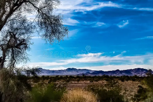 5 Acres in Vidal, California – Great Location & Access, Camping, Mobile Home, Build (San Bernardino County)